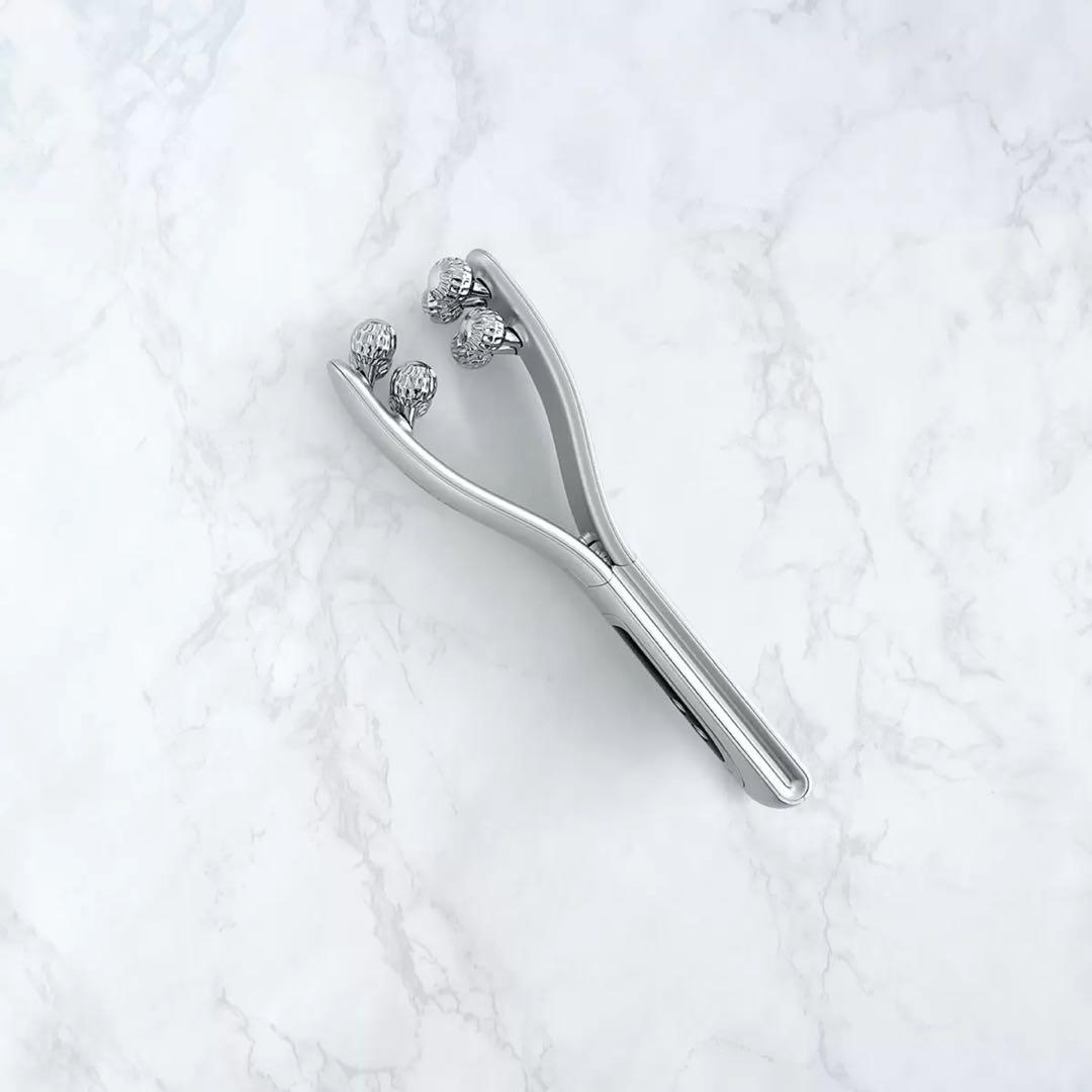 【新品未使用】NIPLUX EMS 美顔ローラー べローラ NP-BRL23SV