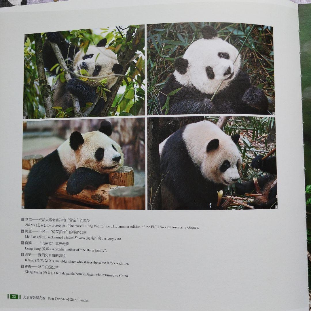 【レア品！新品・未使用品】和花ちゃん視点の限定品写真集「大熊猫的朋友圏」