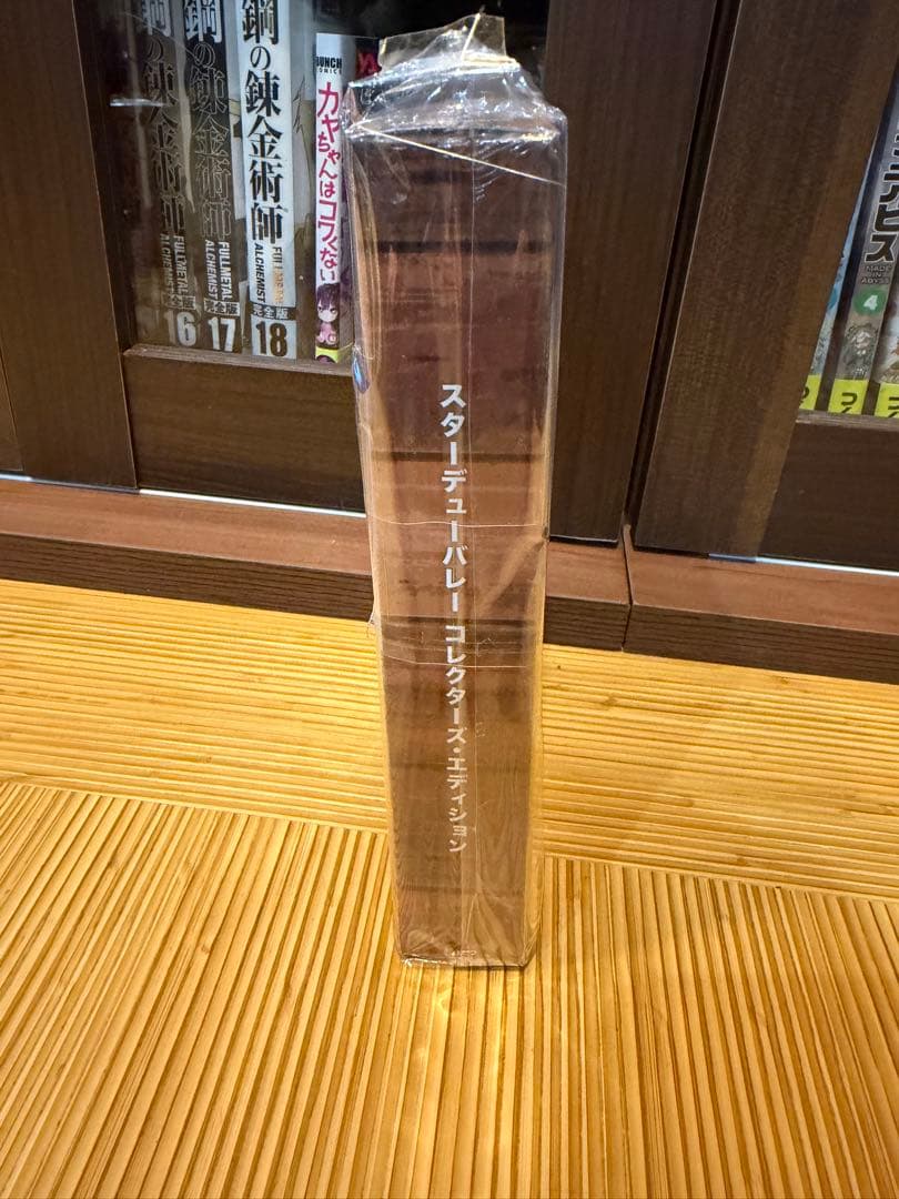 switch スターデューバレー　限定版