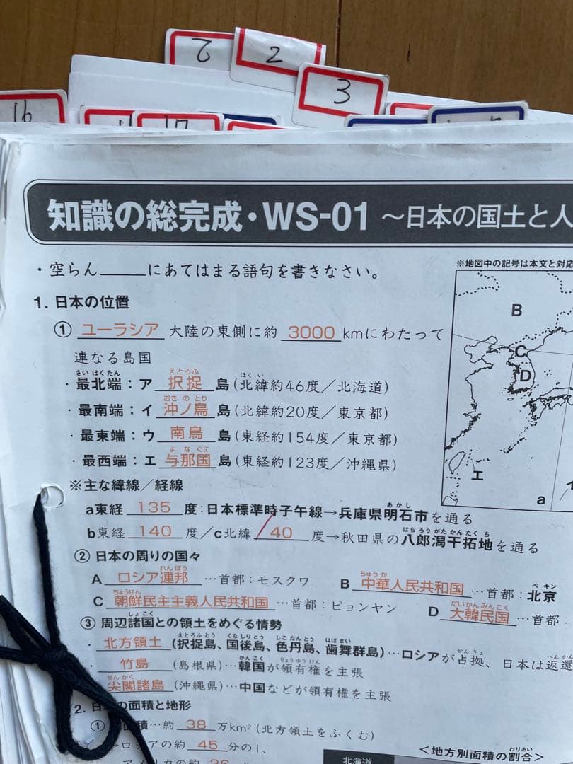 サピックス 6年生 社会テキスト 1年分 最新 2026年受験 桜蔭