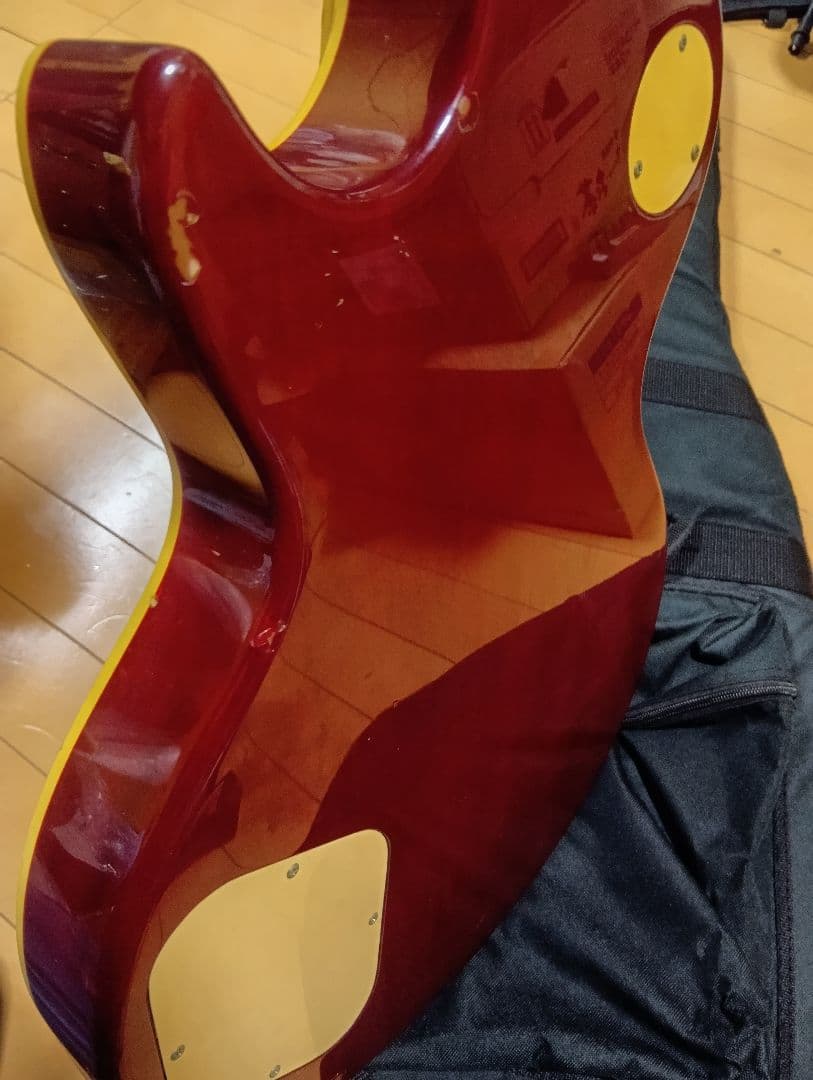 Burny　レスポールタイプ　Gotohピックアップ