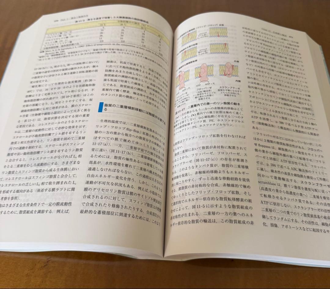 【新品未使用】レーニンジャーの新生化学 生化学　上、下　第6版　２冊セット