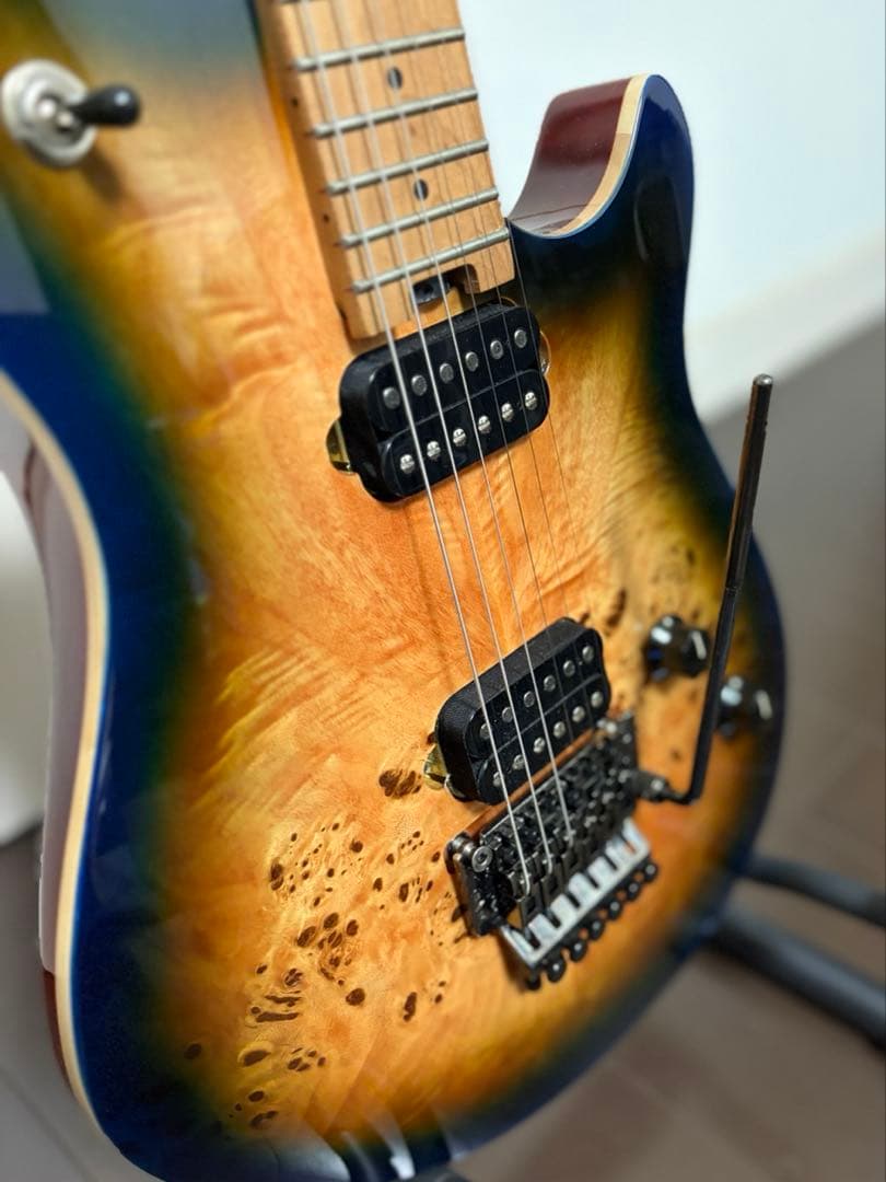 EVH Wolfgang WG Standard Exoticウルフギャング