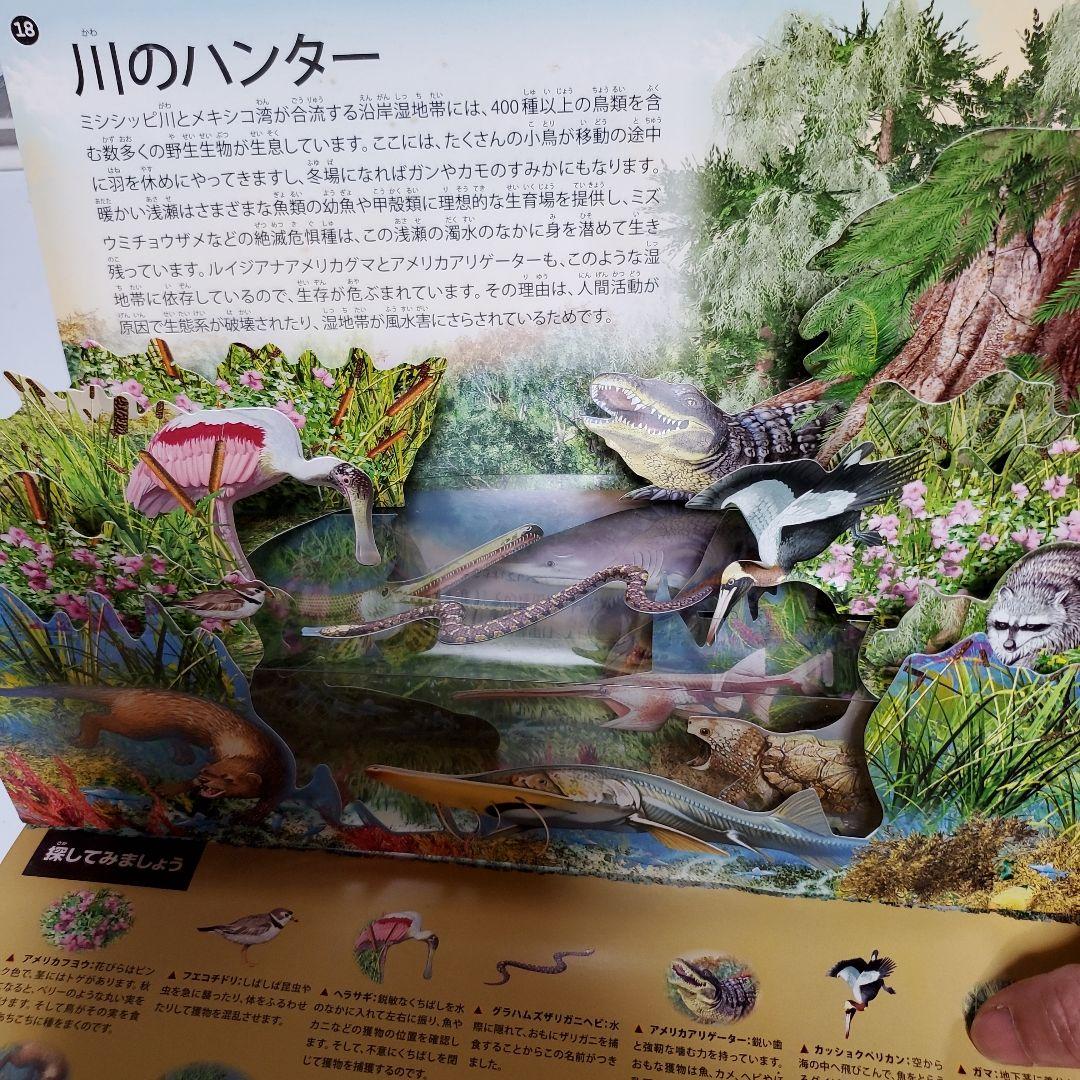 しかけ絵本4冊