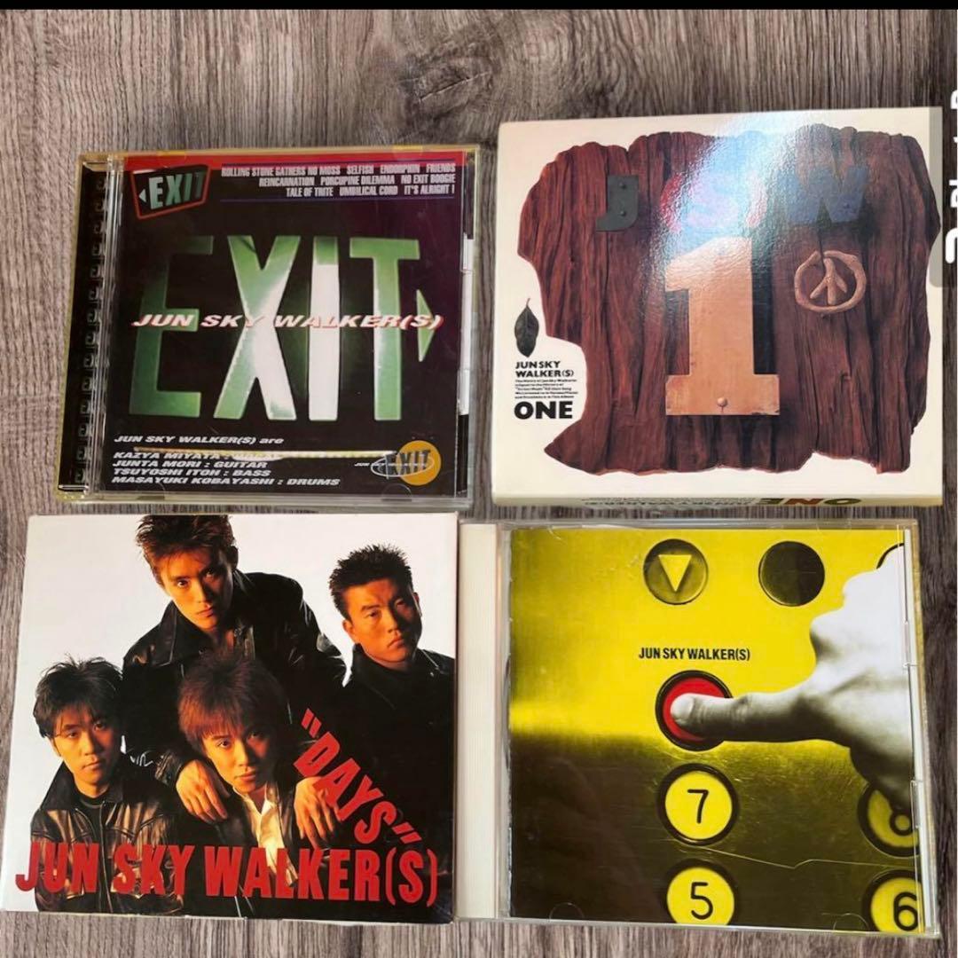 JUN SKY WALKER(S)アルバム14枚シングル白いクリスマス合計15枚