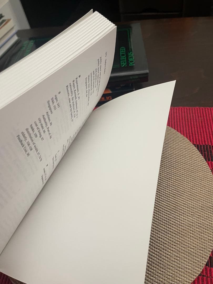 洋書 Modernity & Consumption Antonio L. Rappa