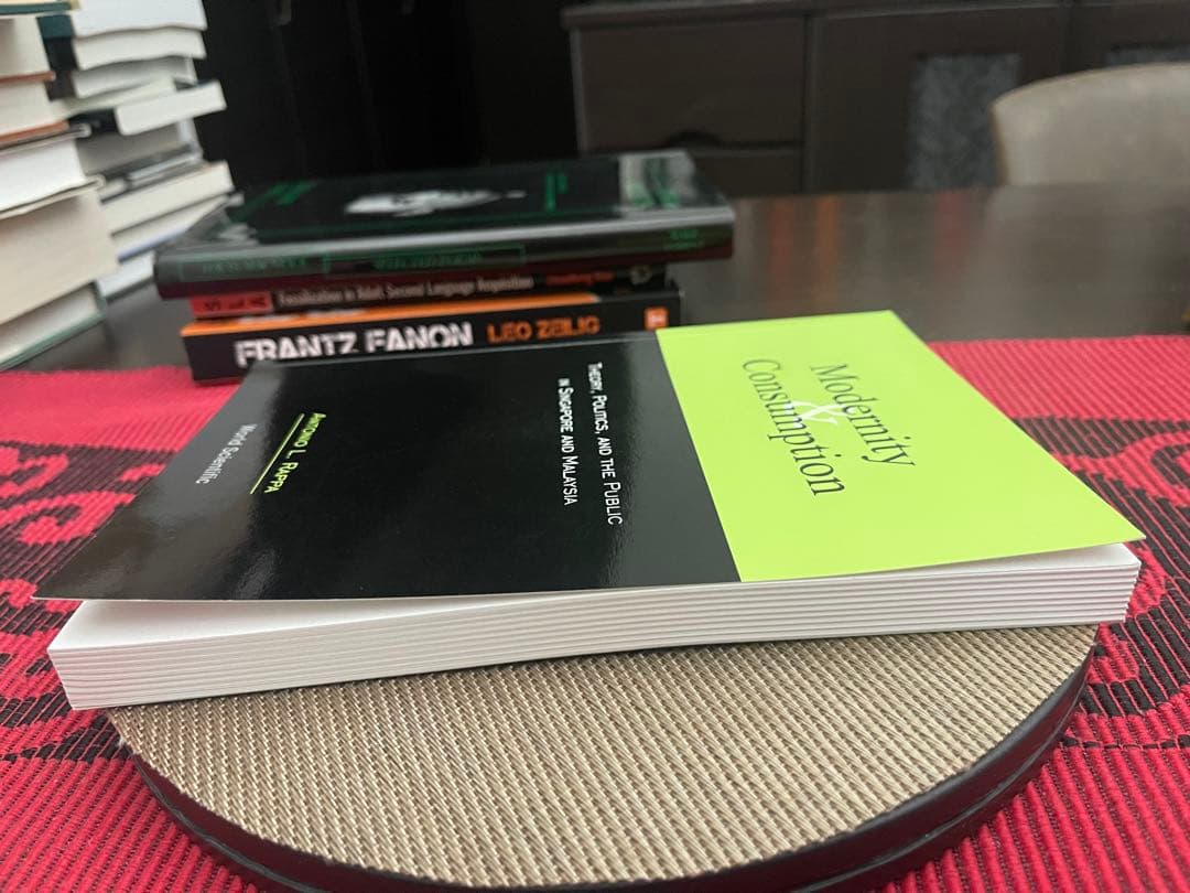 洋書 Modernity & Consumption Antonio L. Rappa