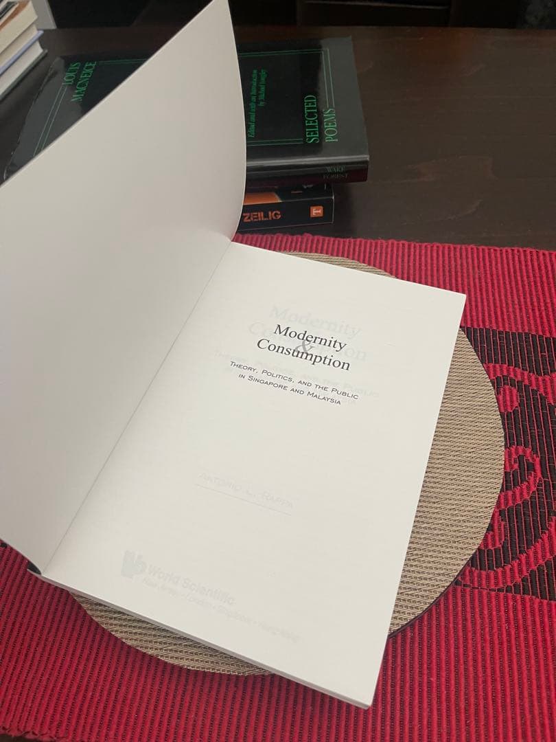 洋書 Modernity & Consumption Antonio L. Rappa