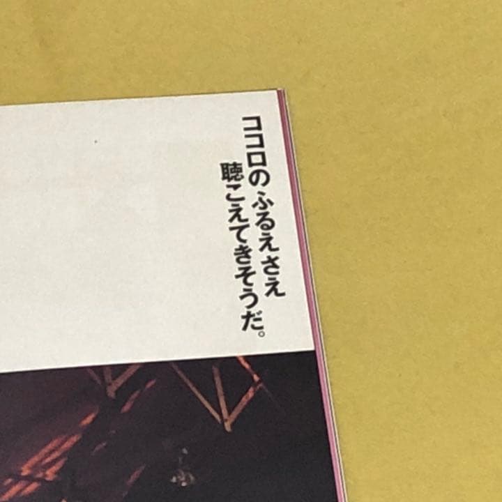 森川美穂　大阪芸術大学教授　演劇学科　ポピュラー音楽　歌手　女優　写真集