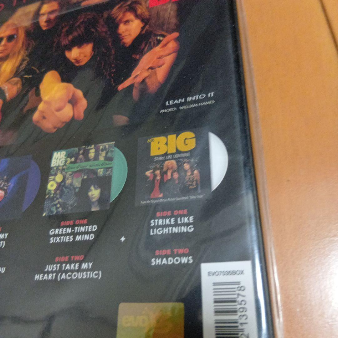 Mr. Big★ミスタービッグ★LEAN INTO IT SINGLE BOX
