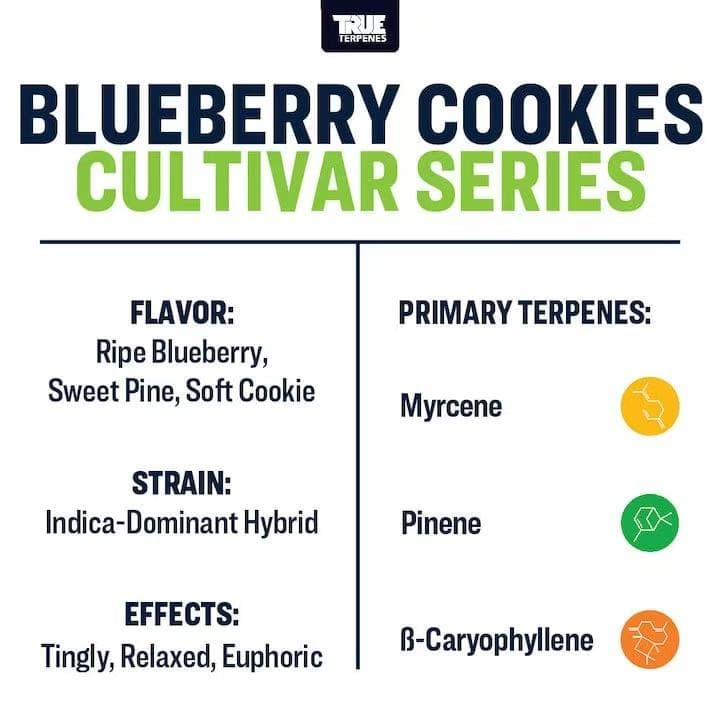 TRUE テルペン 香料 CBD CBN 10ml ブルーベリークッキーズ