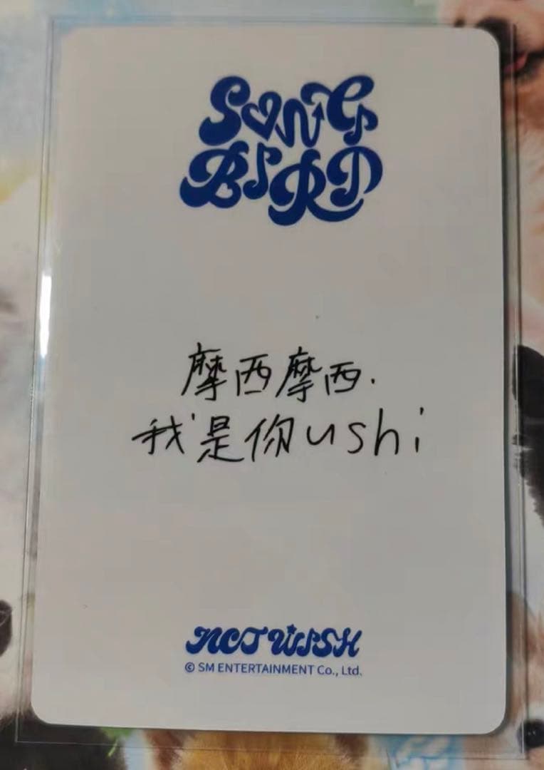nct wish ユウシ songbird 中華 一直娱 yizhiyu 冬特典