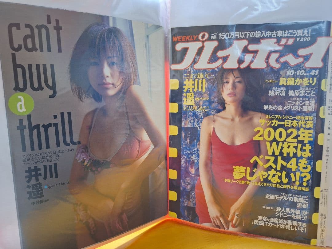 井川遥(1冊200円計算)42冊分167ページ切り抜きしファイリング済み