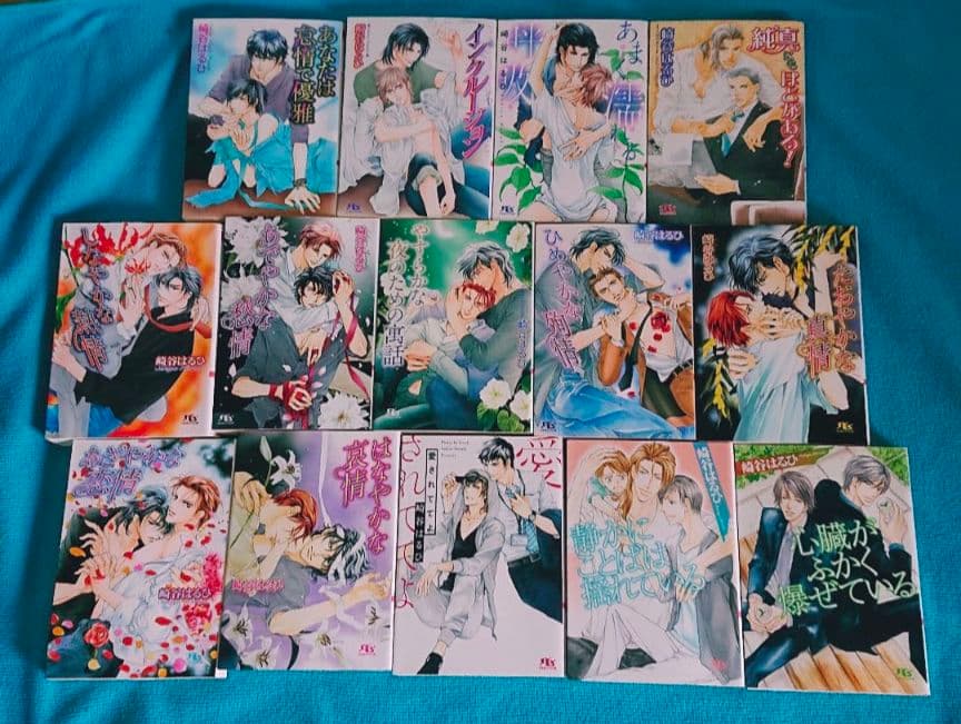 BL文庫 ボーイズラブ まとめ売り　60冊　崎谷はるひ　入手困難　秘蔵　絶版