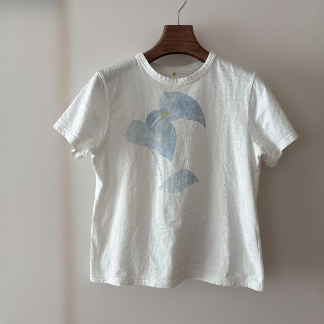 パラスパレス　海芋柄プリントTシャツ　カットソー　2025