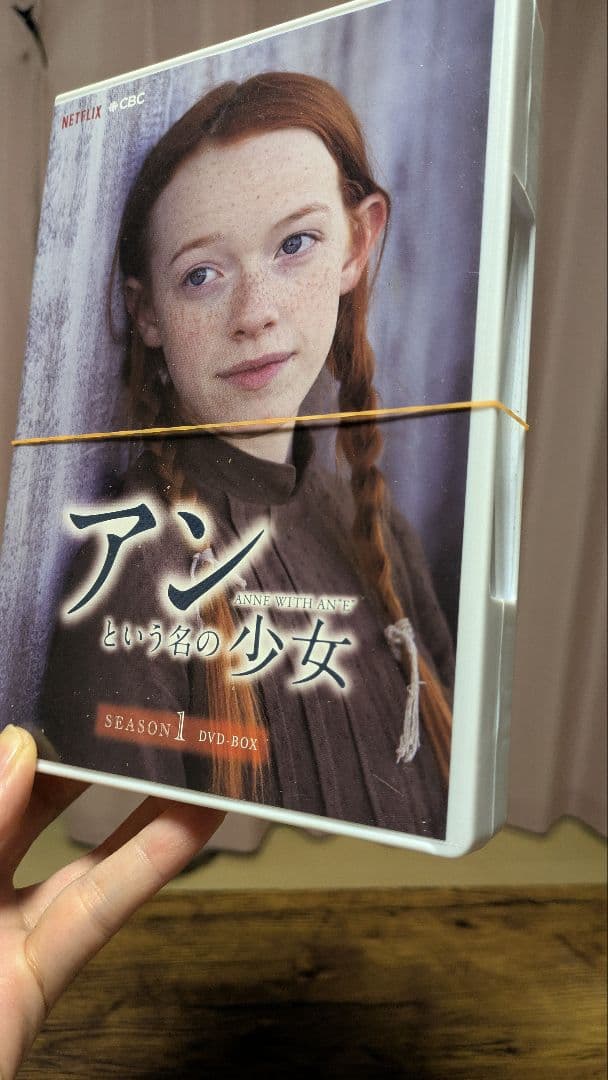 アンという名の少女 DVD 全巻セット