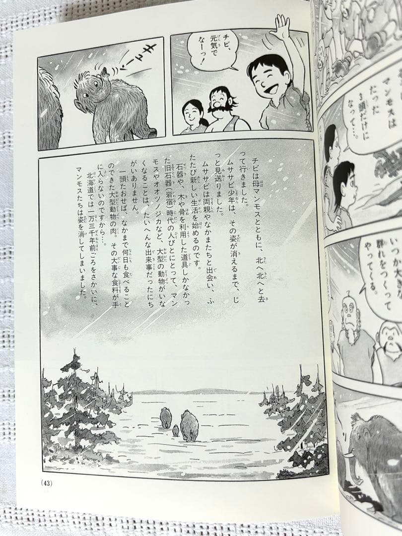 【美品】日本の歴史 23冊全巻セット　学習まんが　日本の歴史年表付　箱付き