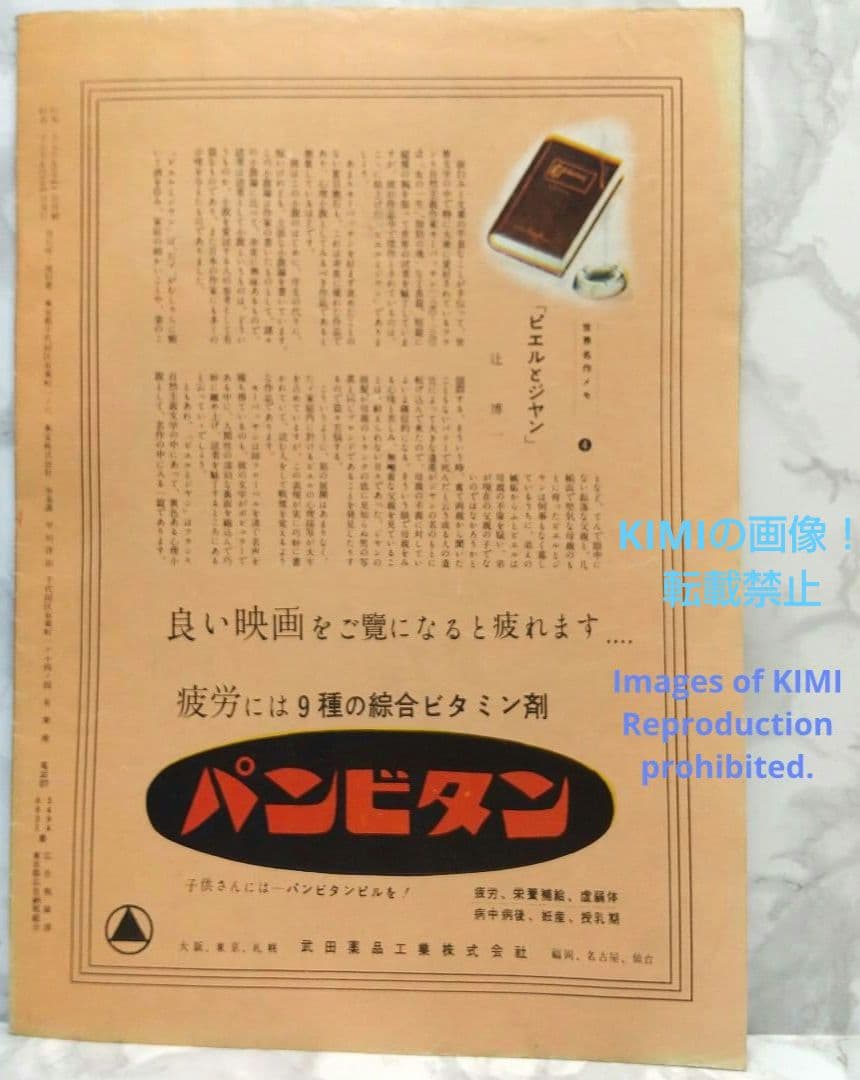 レア 映画パンフレット 欲望という名の電車 有楽座 1952年 昭和27年