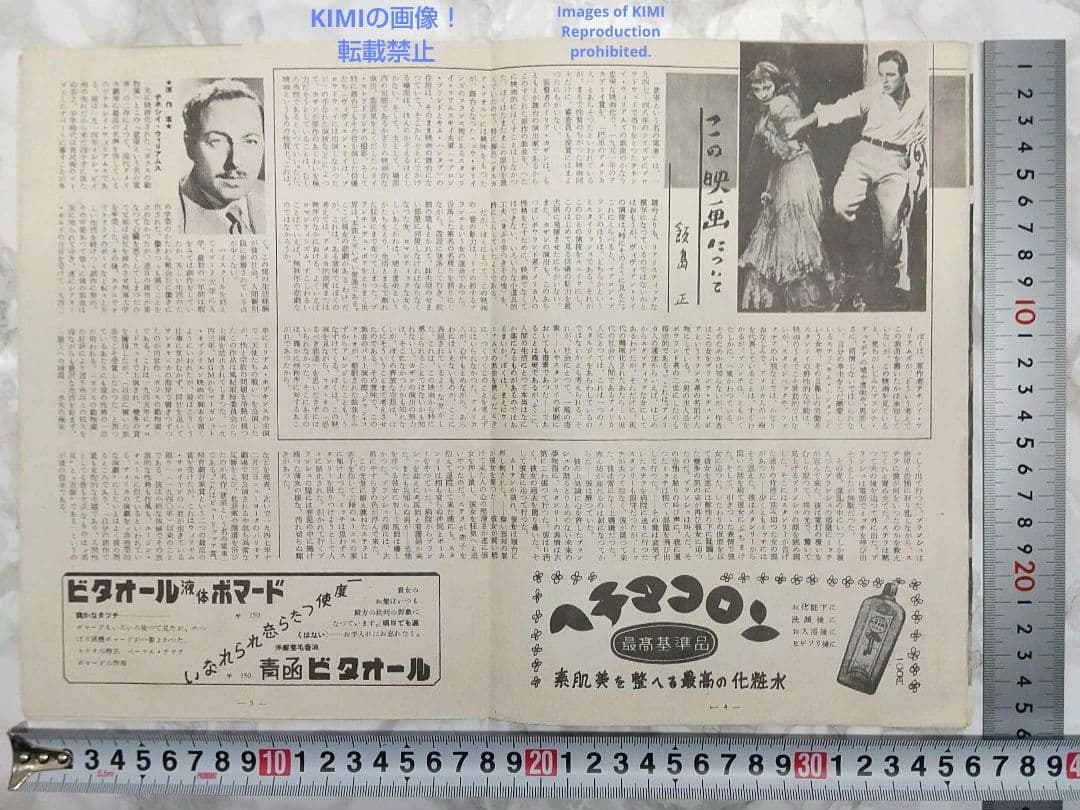 レア 映画パンフレット 欲望という名の電車 有楽座 1952年 昭和27年