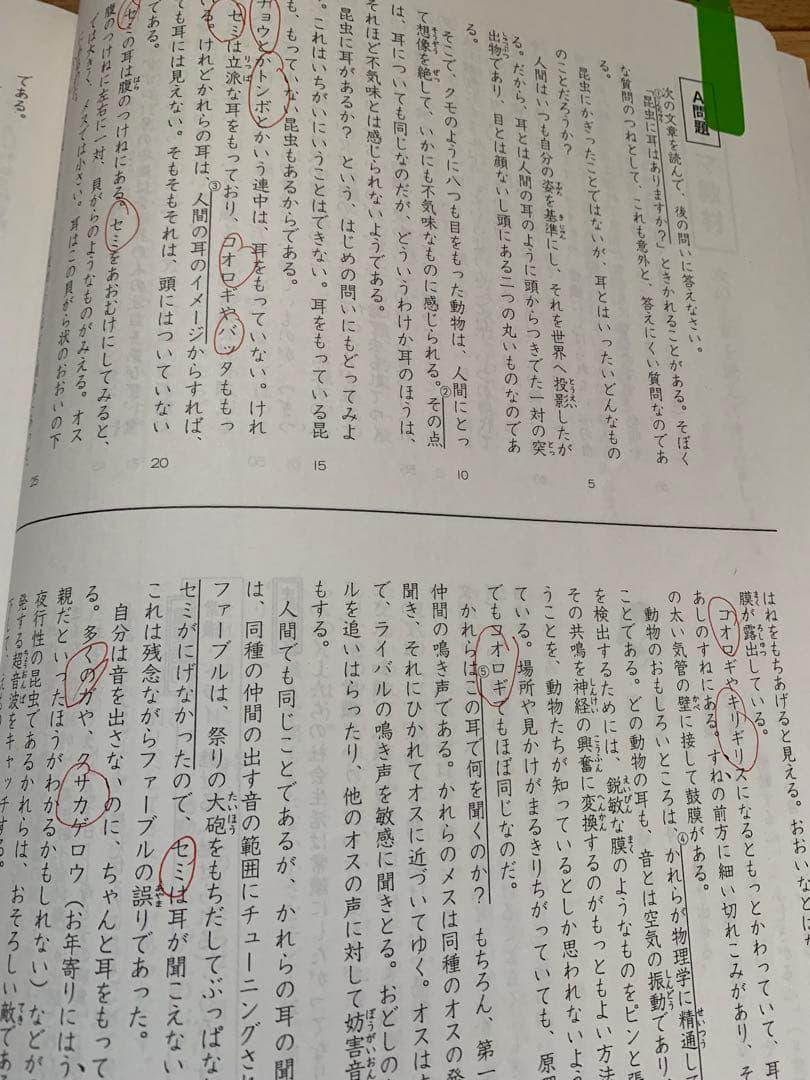 【浜学園教材】算数・国語・理科(小5)
