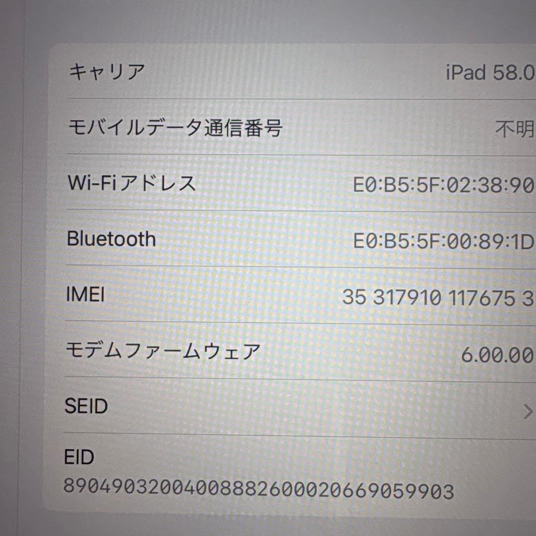 iPad mini5 セルラー 64GB SIMフリー(79)