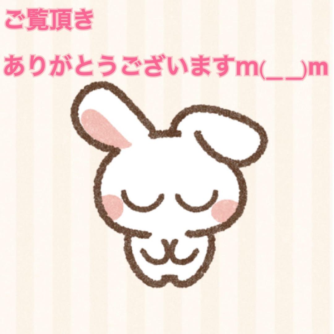 XL DELICIOUS デリシャス トラベル テーラードジャケット グレー 春