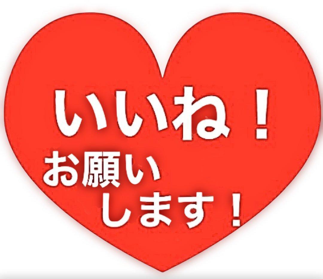 ゴールデンカムイ 全巻セット ‼︎ +〜公式ファンブック 探究者たちの記録