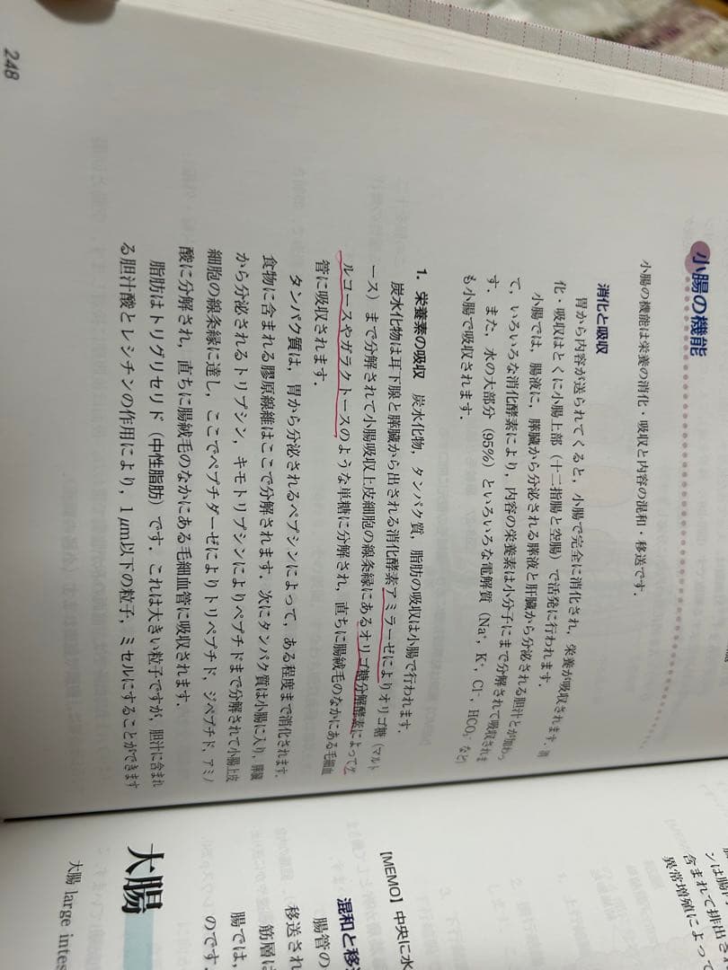 医療/保健/看護/教育/養護 関係の本