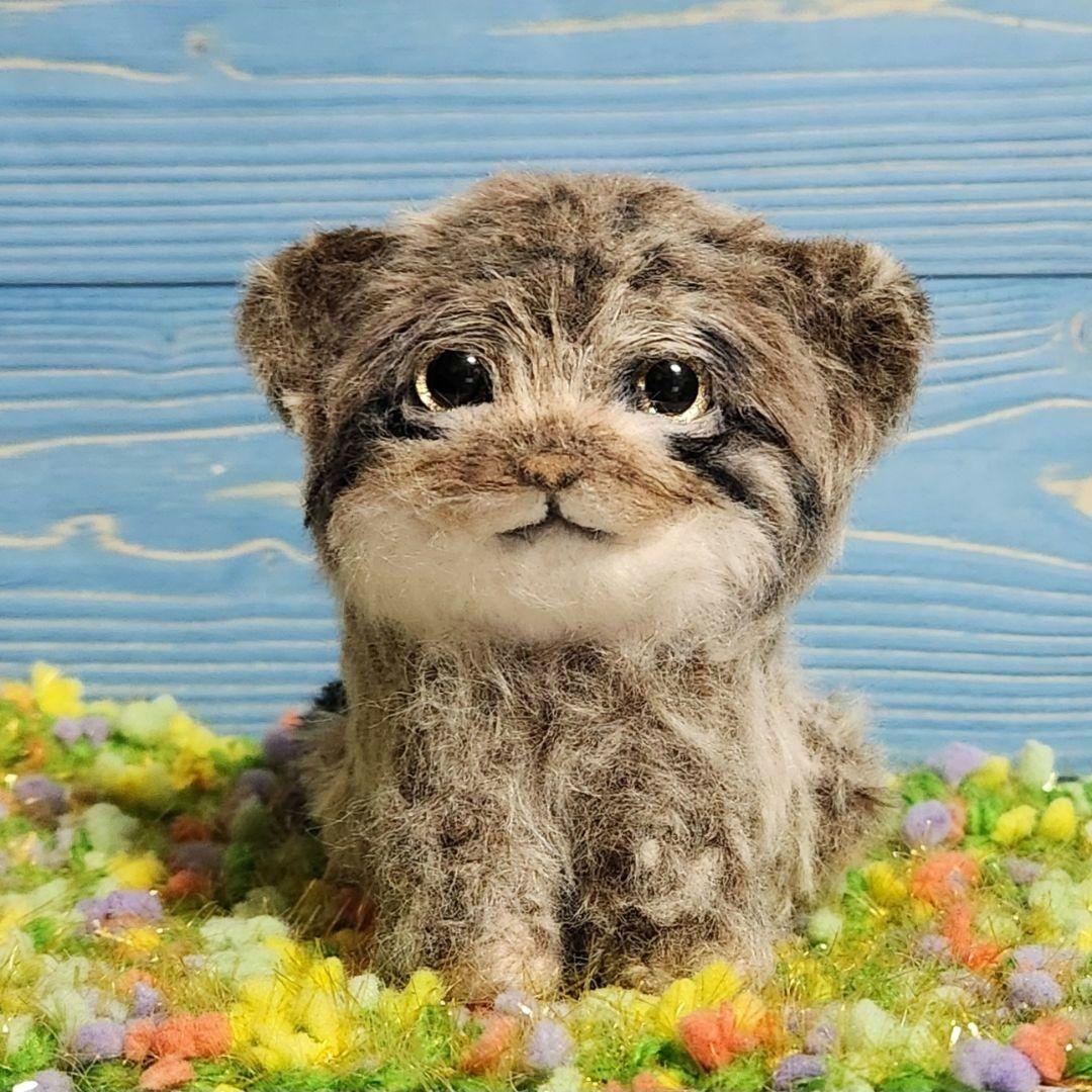 - petit manul - マヌルネコのあみぐるみ 仔猫