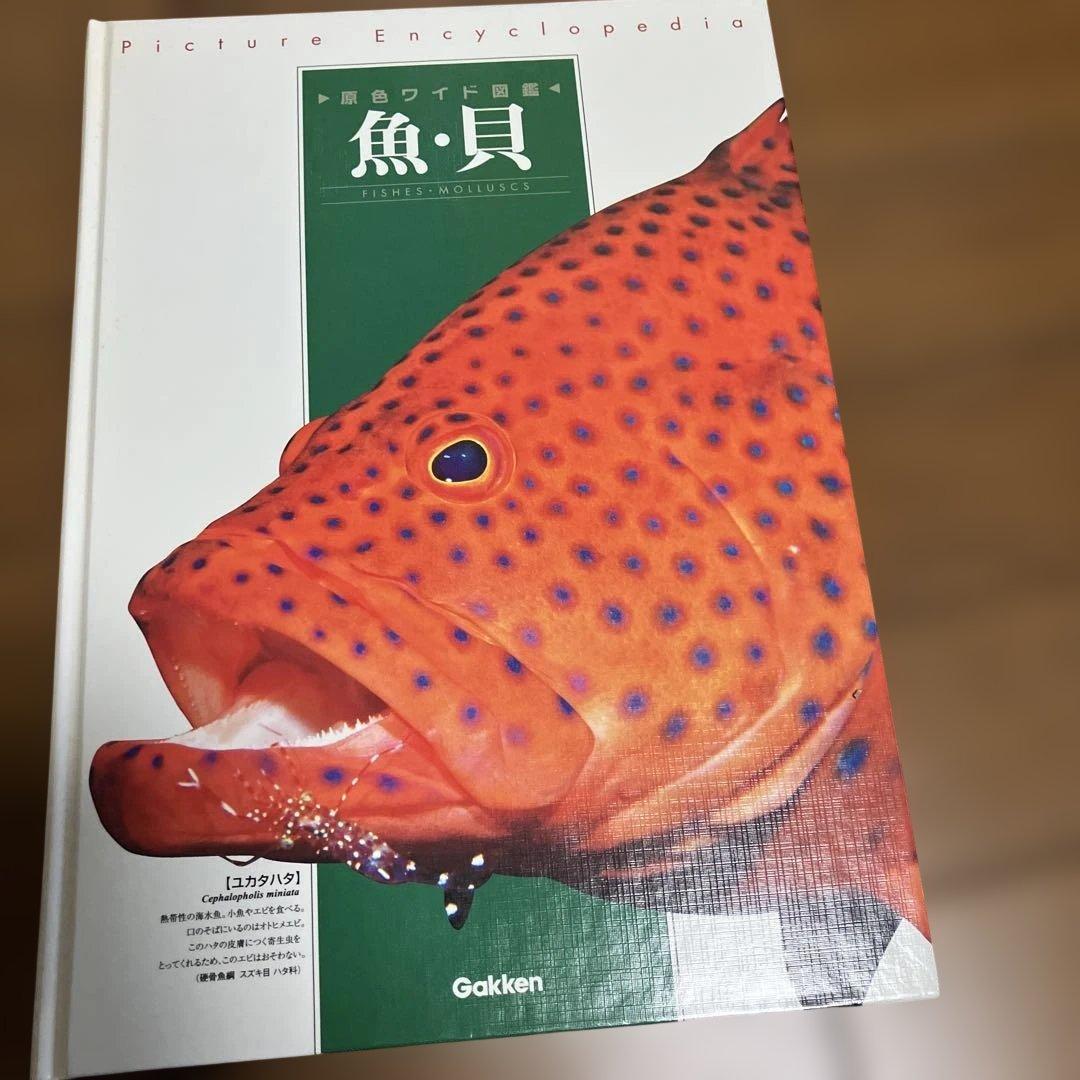 学研　原色ワイド図鑑　20冊　＋　総索引1冊セット