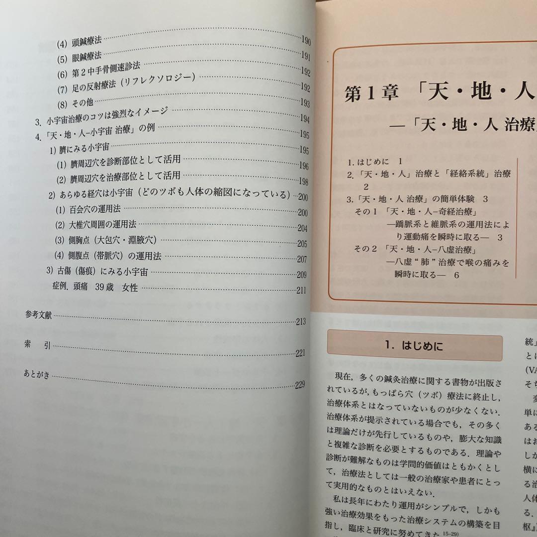 ほぼ新品　天地人 治療 木戸正雄著