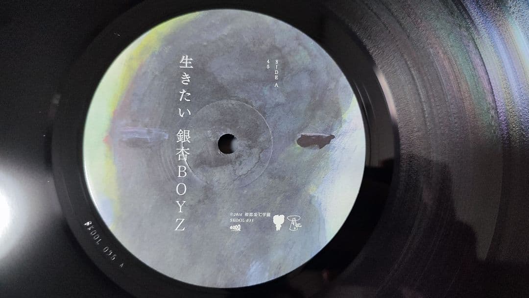 銀杏BOYZ 　レコード　アナログ　3枚セット