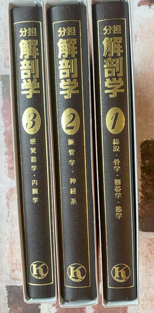 分担解剖学 1-3 セット