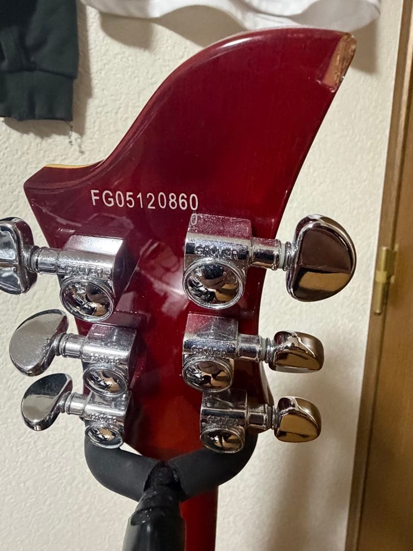 ギター FERNANDES RAVELLE