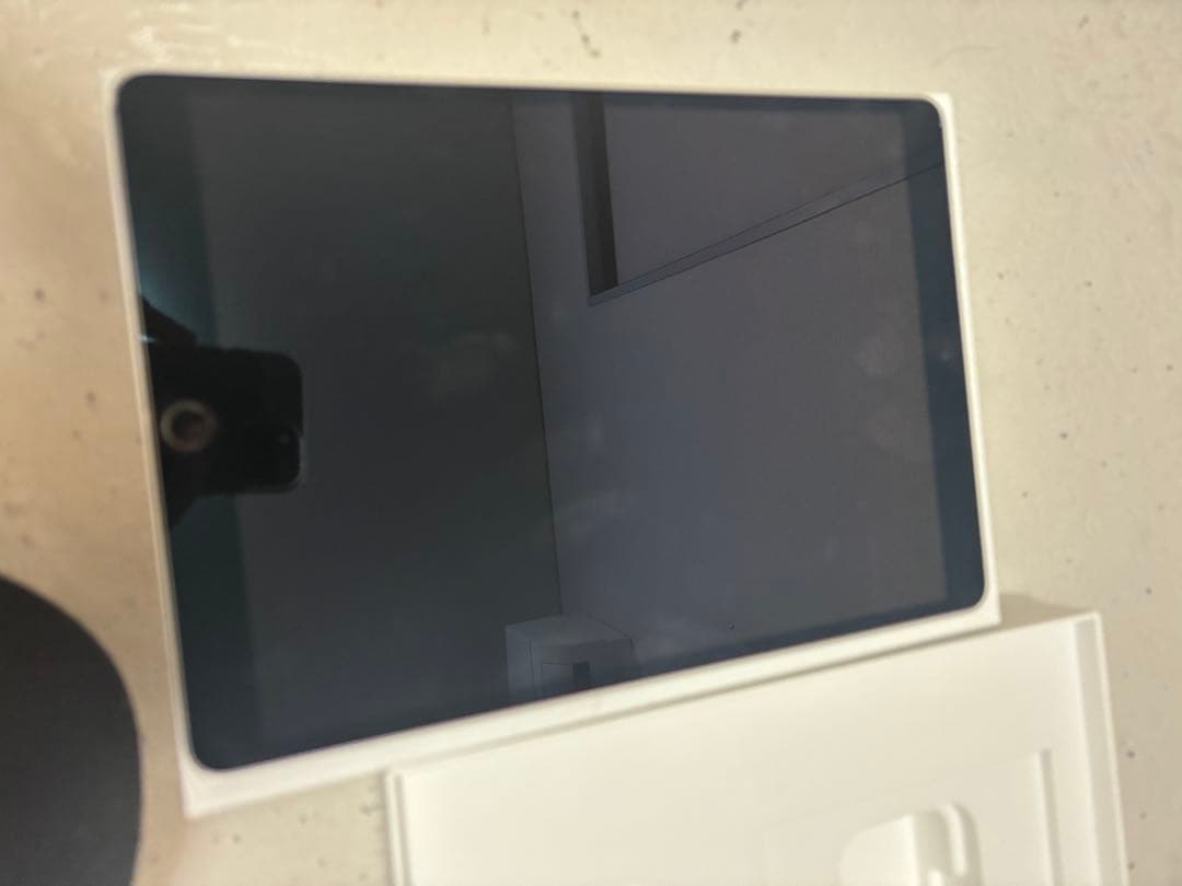 ぞ*び様 Apple iPad Pro (10.5インチ)本体 256GBバッテ