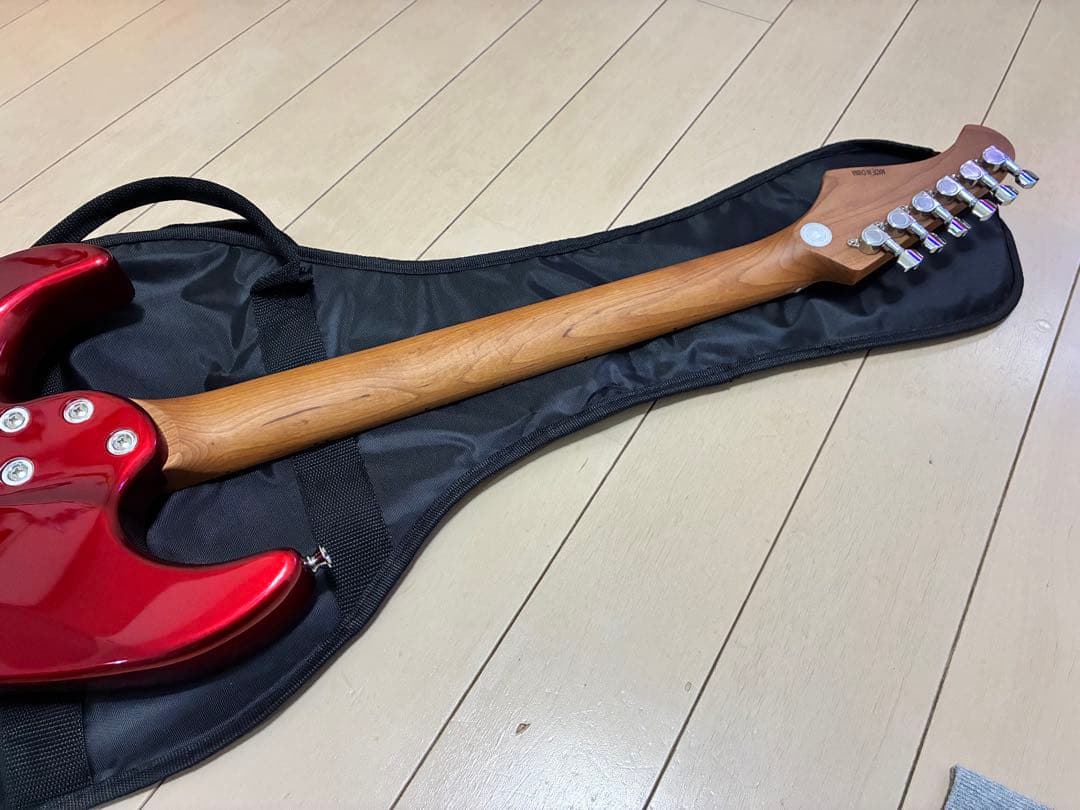 Bacchus GS-2DX RSM/M CAR ステンレスフレット　新品