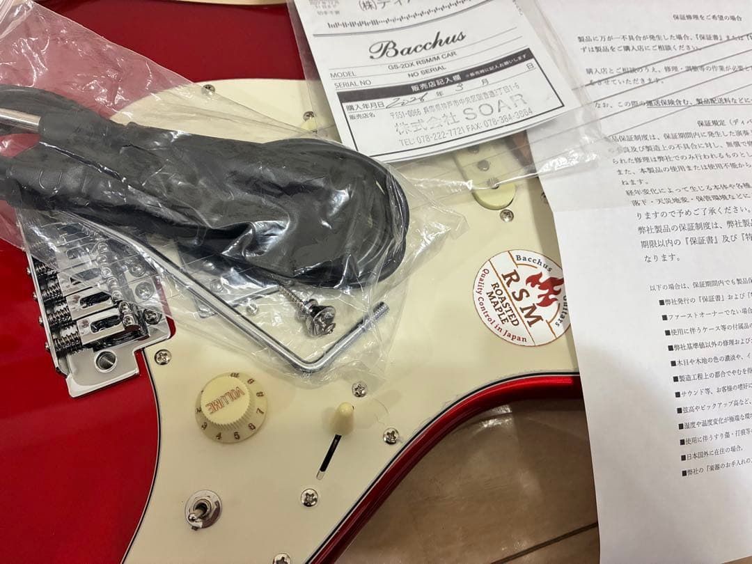 Bacchus GS-2DX RSM/M CAR ステンレスフレット　新品