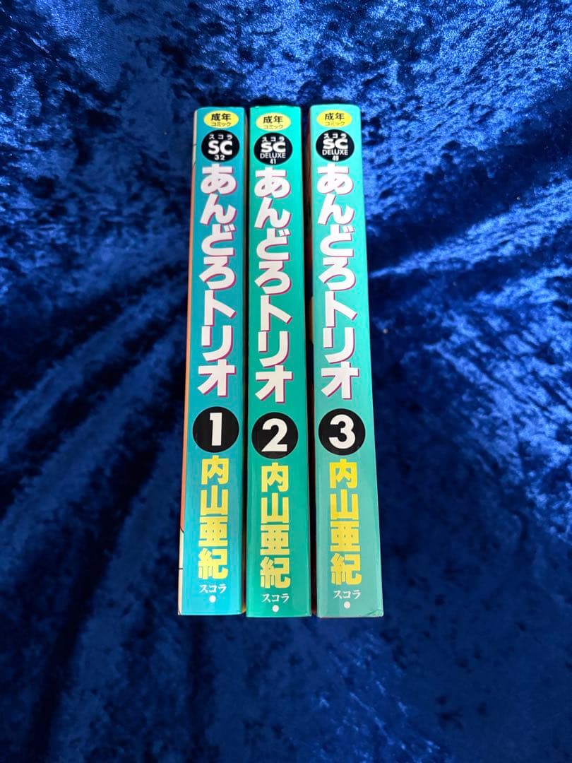 極美品 内山亜紀「あんどろトリオ 全3巻」全巻初版注文カード付　スコラ