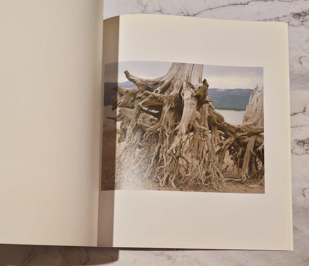 Ron Jude『Lick Creek Line』