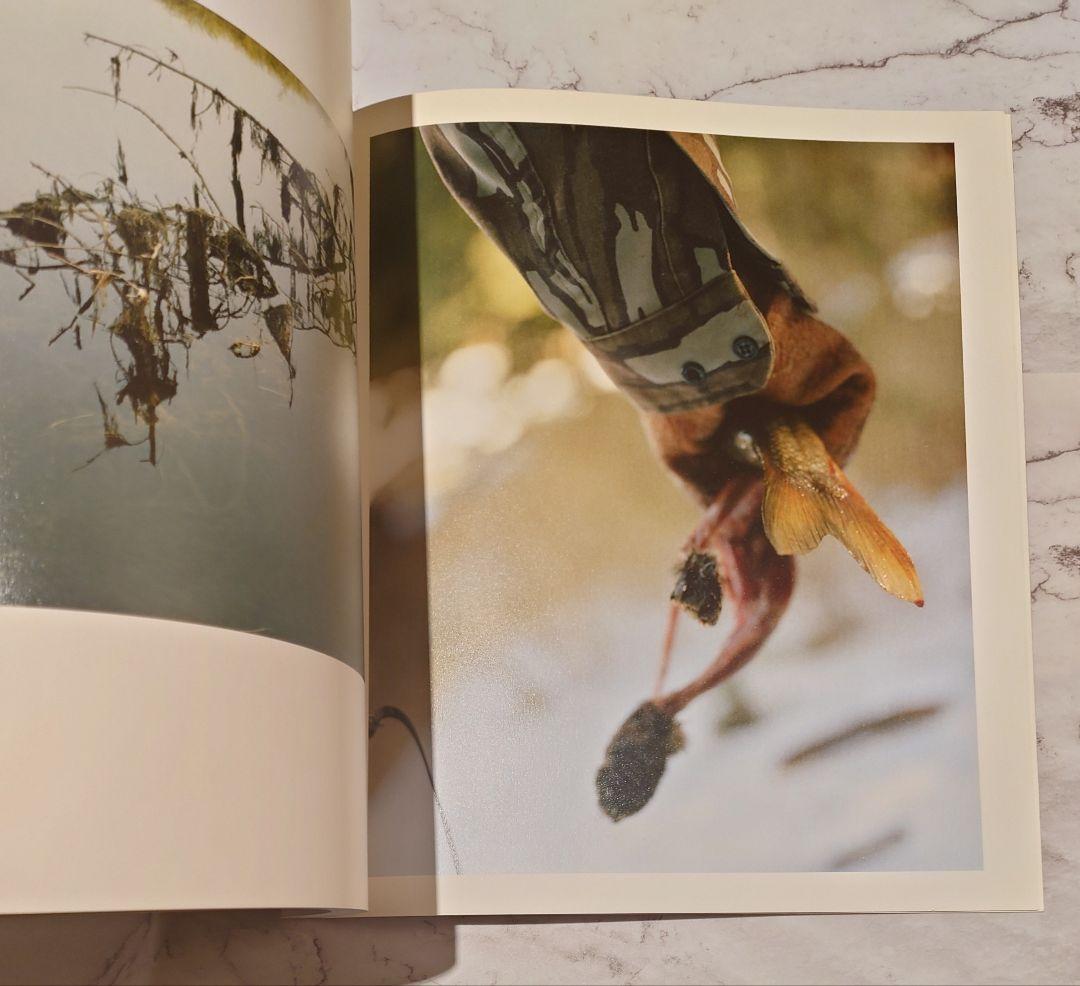 Ron Jude『Lick Creek Line』