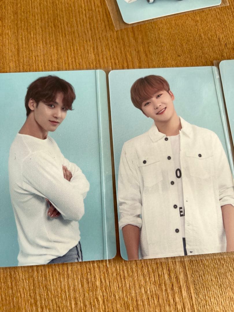 CARAT3期　SEVENTEEN
