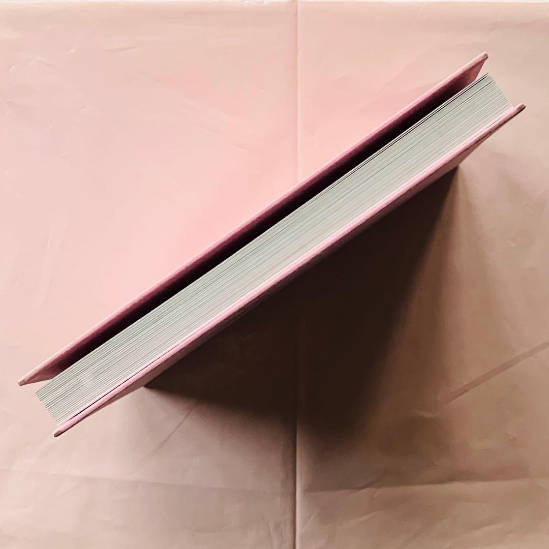 【未使用品】Katie PINK BOOK (1997-2017)