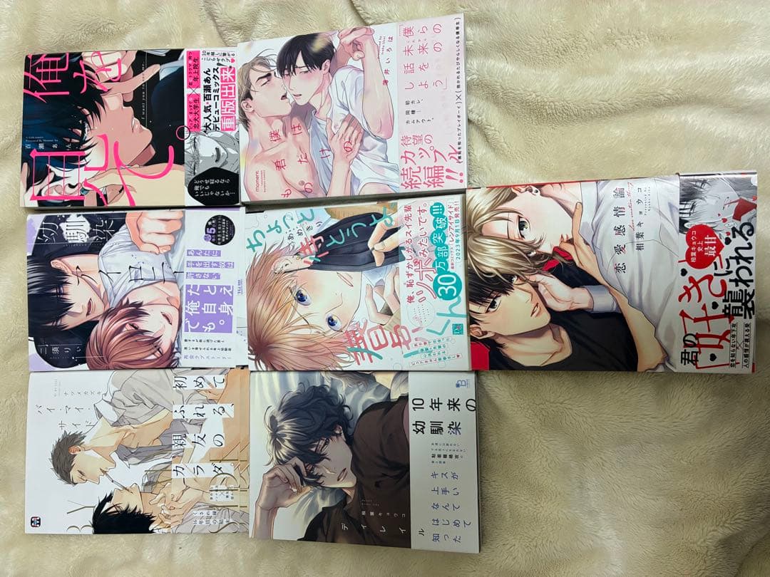 恋愛漫画 ボーイズラブ 全巻セット