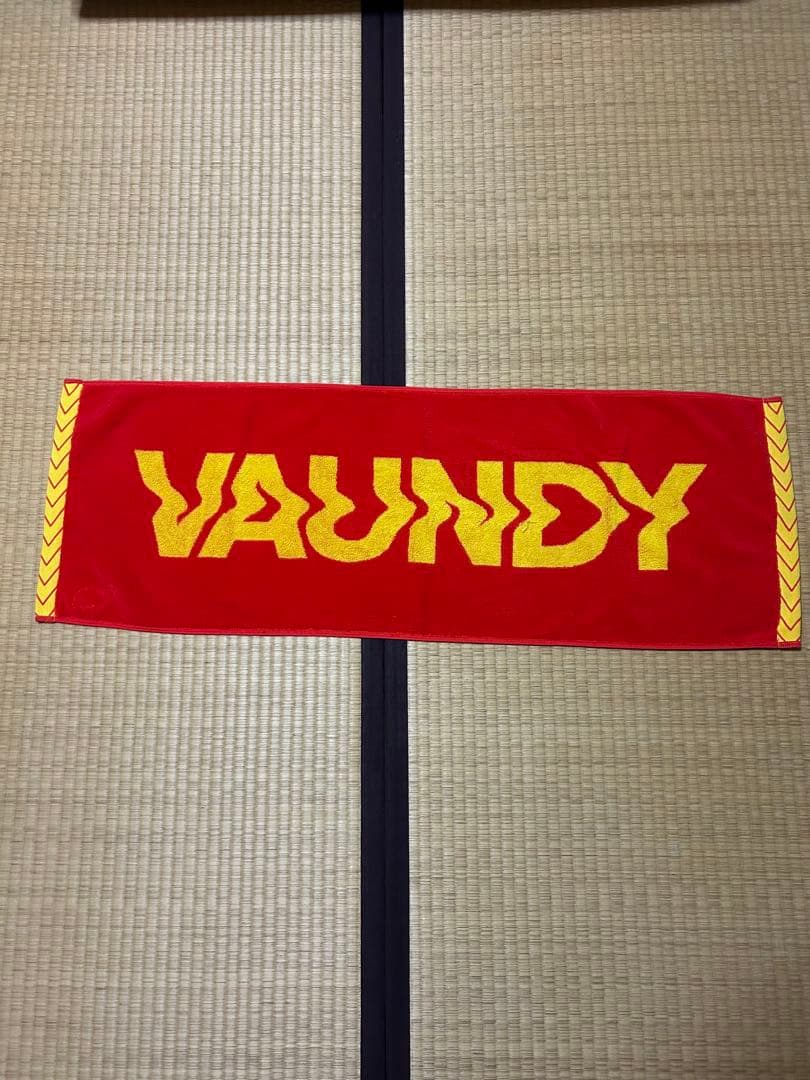 VAUNDYドームツアー　ライブTシャツ(M)、タオル(大阪)、ラバーバンド