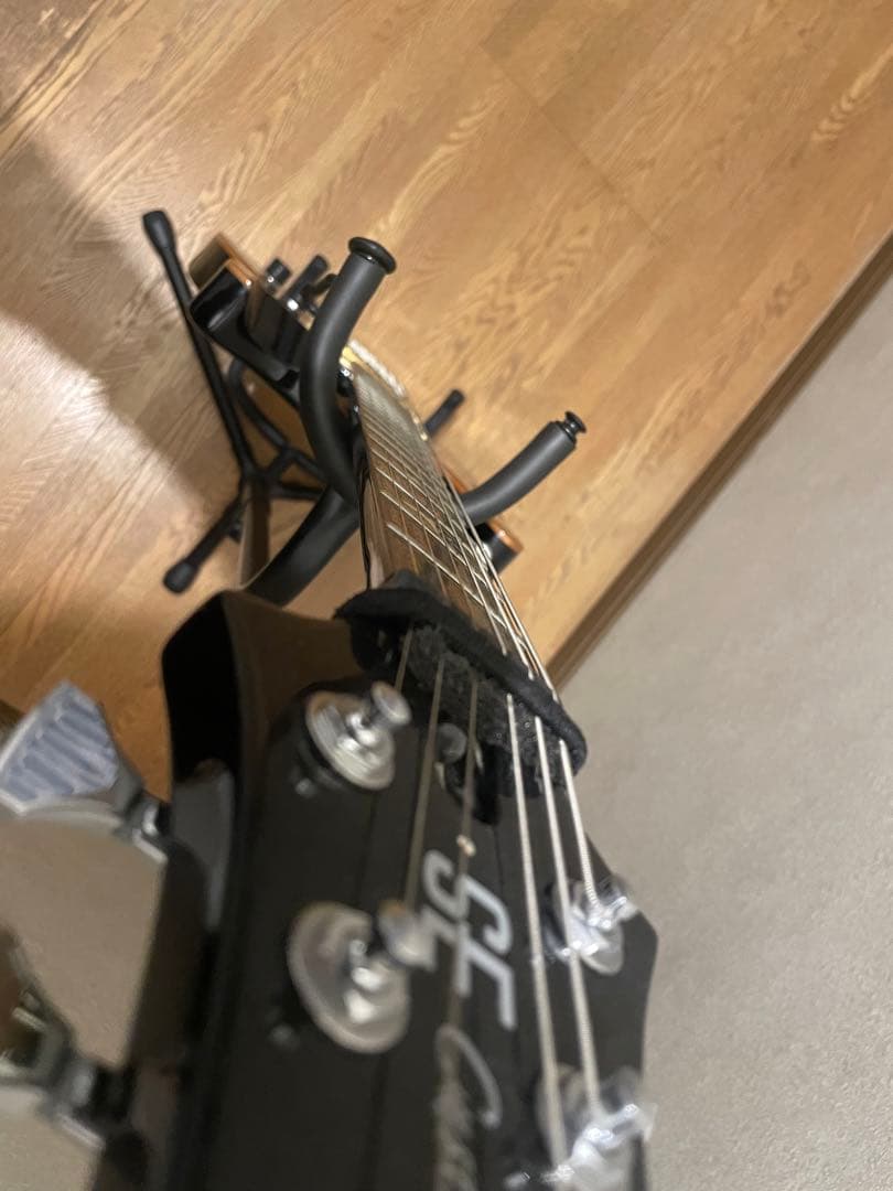 Paul reed smith SE Custom24 エレキギター