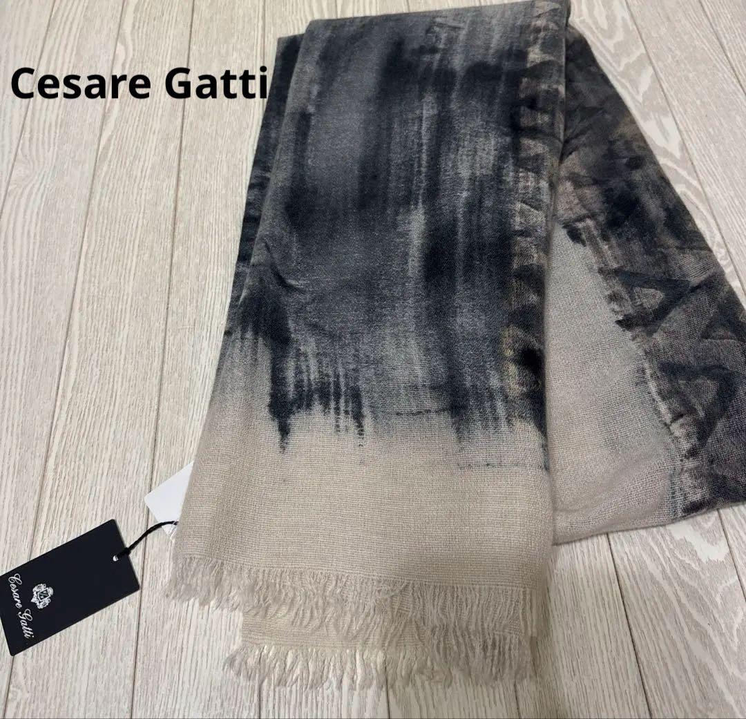 新品　Cesare Gatti カシミヤ大判パターン ストール