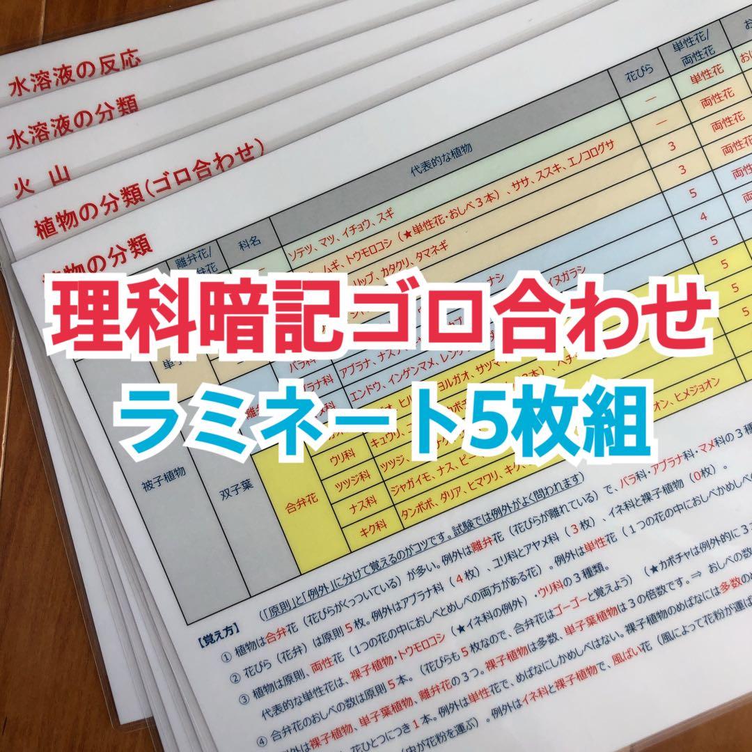【中学受験】国語重要語句暗記カード（カット前）他3点