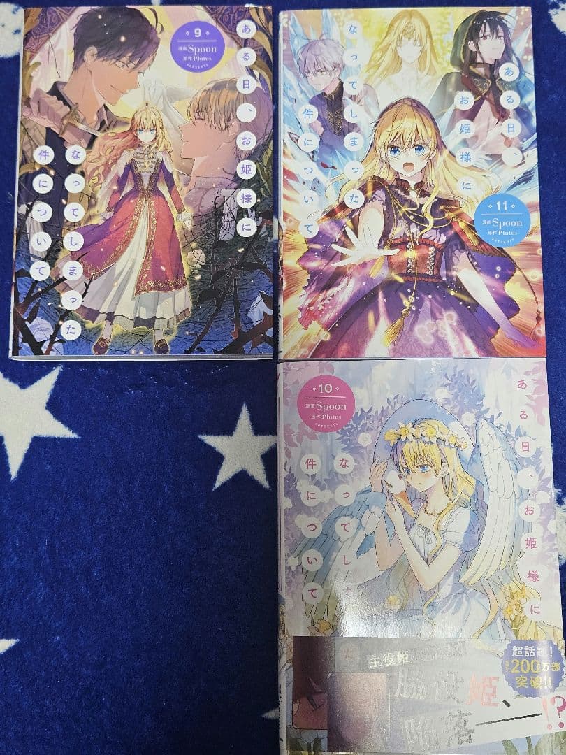 ある日、お姫様になってしまった件について　11巻セット