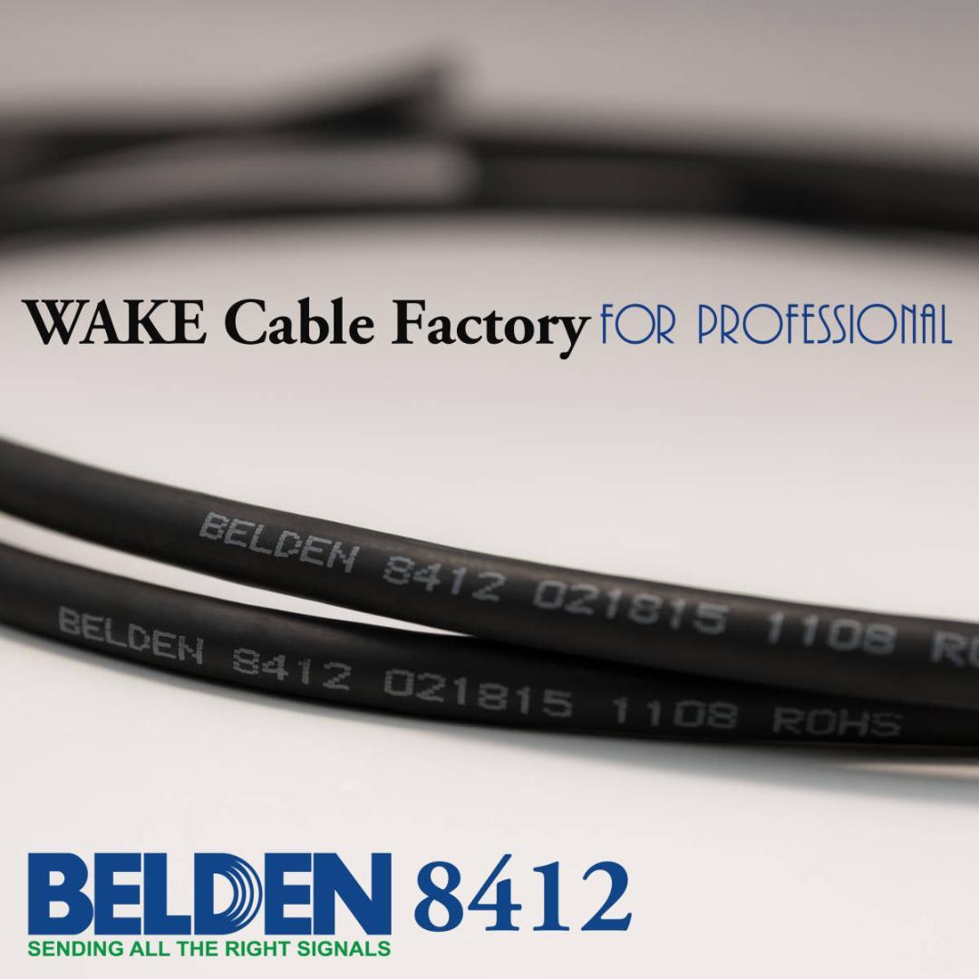 プレミアム黒！BELDEN8412★RCAケーブル75cmペア★AMPHENOL