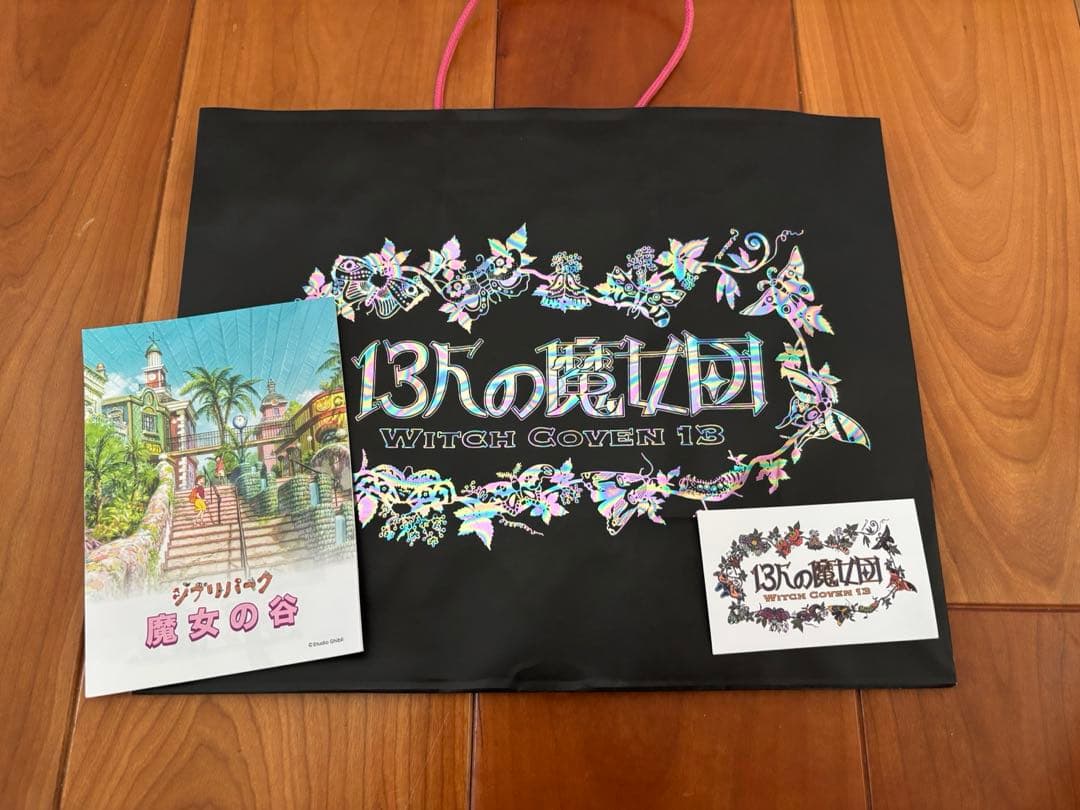 【新品未使用】ジブリパーク限定　ヒン